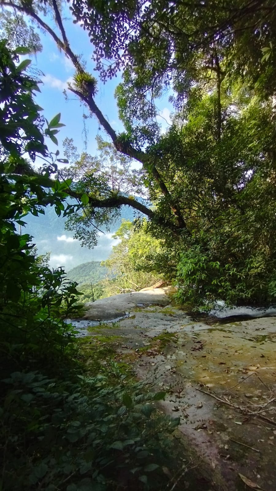Trilha da Pedra Lisa em Paranapiacaba